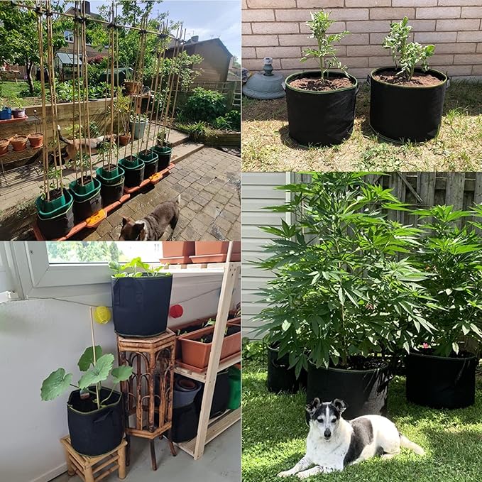 Sac de Plantation Tissu Non tissé épaissi (10 Pcs) - 20L Haute Capacité (Ø 30cm Hauteur 25cm) - Sacs à Plantes avec poignée pour Pommes de Terre, Tomates, Fraises, Fleurs et Autres Plantes