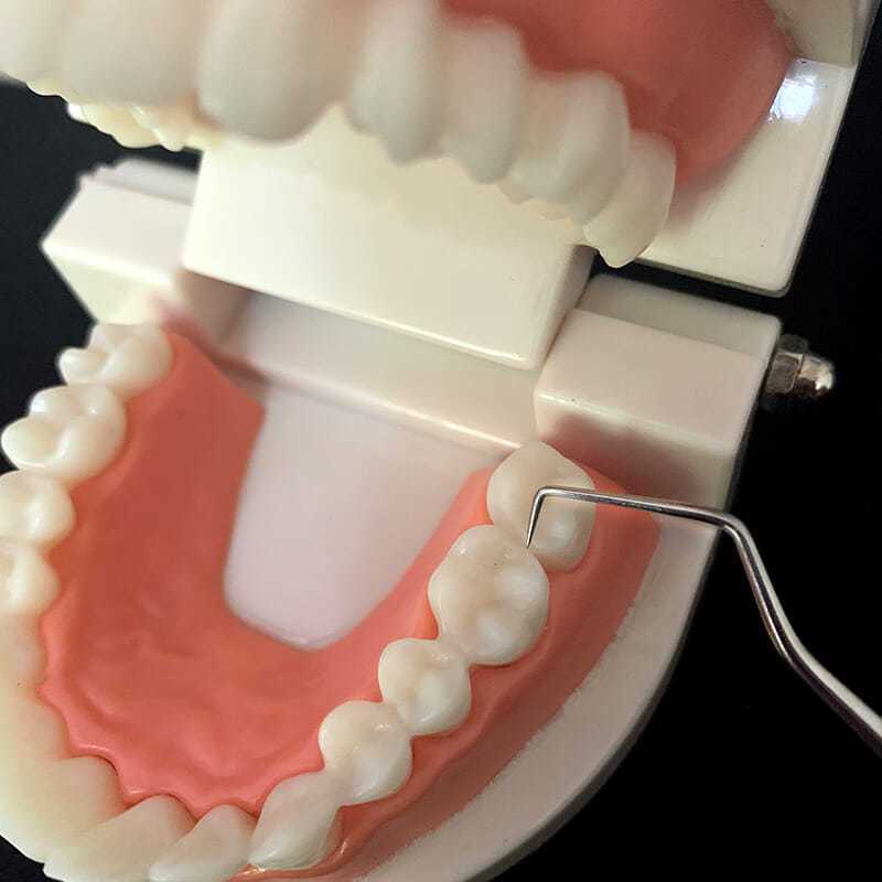 Kit d'Hygiène Dentaire "Elite-Clean" – 7 Cure-Dents en Acier Inoxydable 304 & Étui de Transport
