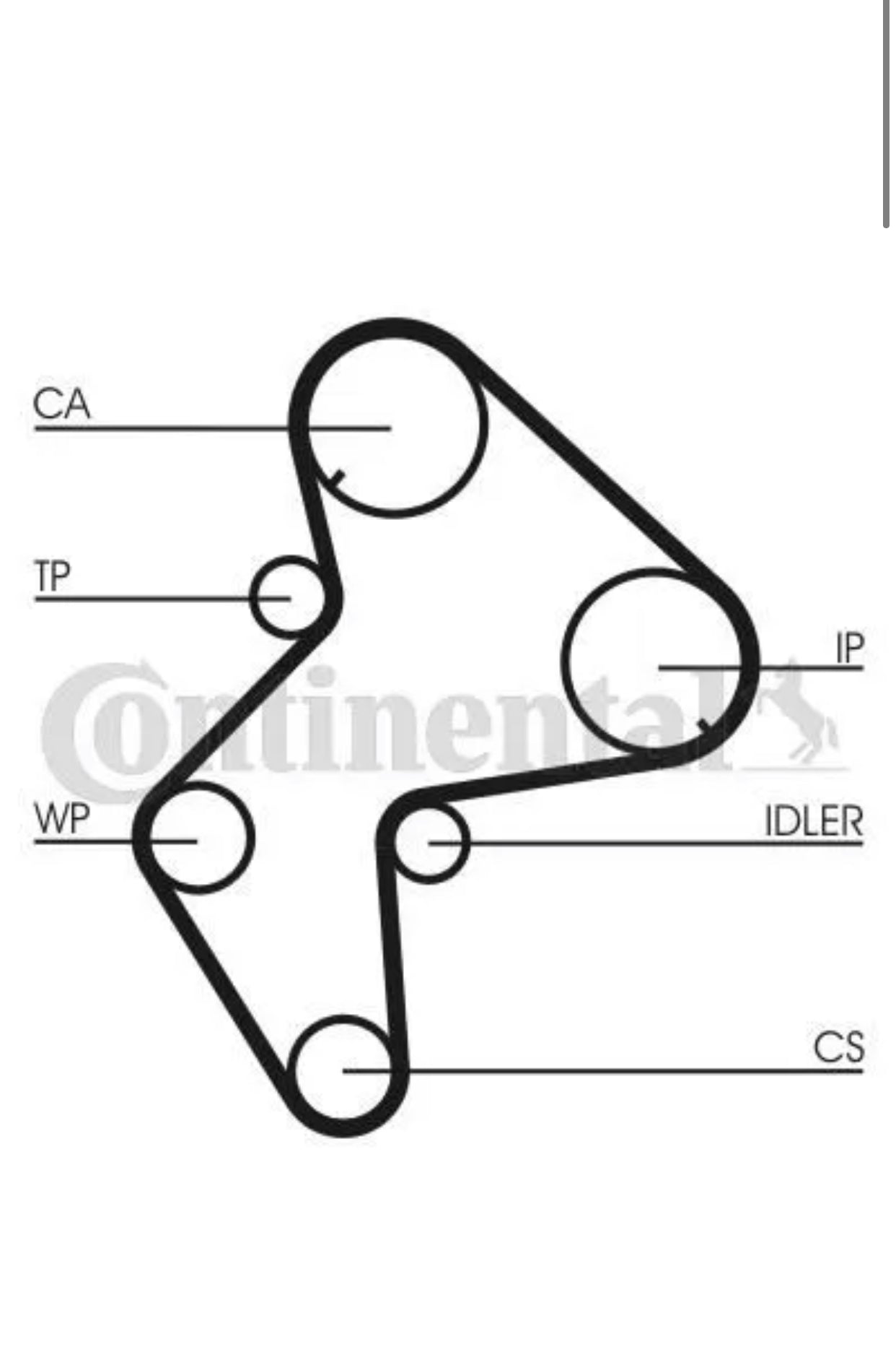 Kit de distribution + pompe à eau CT772WP1 neuf