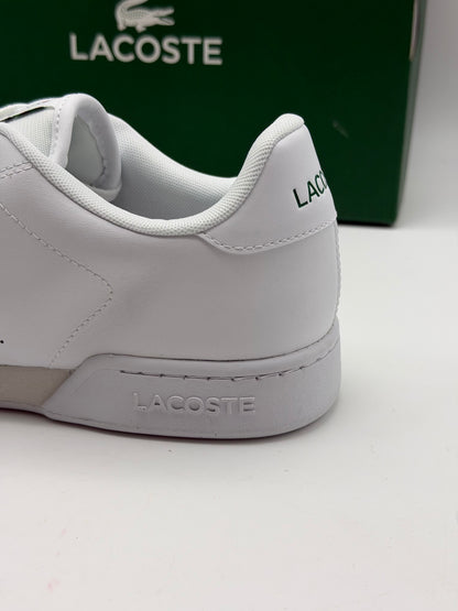 Sneakers Carnaby Cup homme en cuir
Sneakers - Blanc - Lacoste - Homme