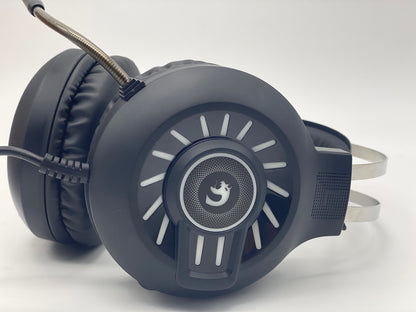 Casque de Jeu, Casque de Jeu Filaire stéréo 3,5 mm avec rétroéclairage Arc-en-Ciel RVB, Son Surround de Casque Professionnel et Microphone à réduction de Bruit, pour PS4 / Xbox One/Mac/PC (Noir)