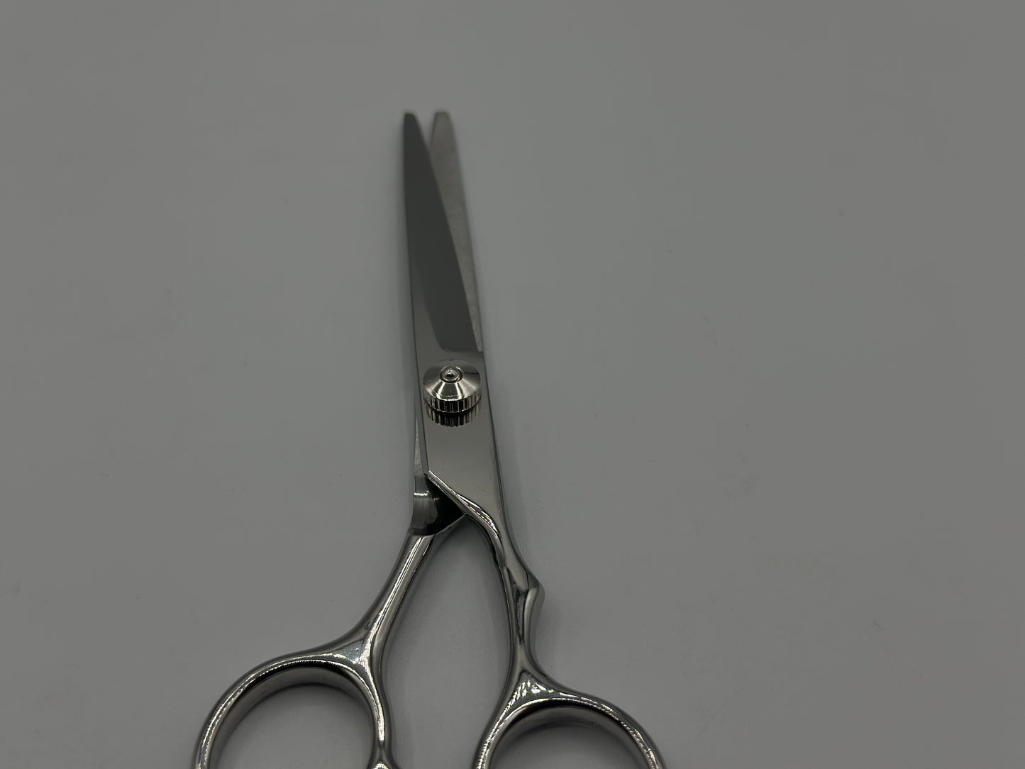 Ciseaux professionnel 6’’ neuves