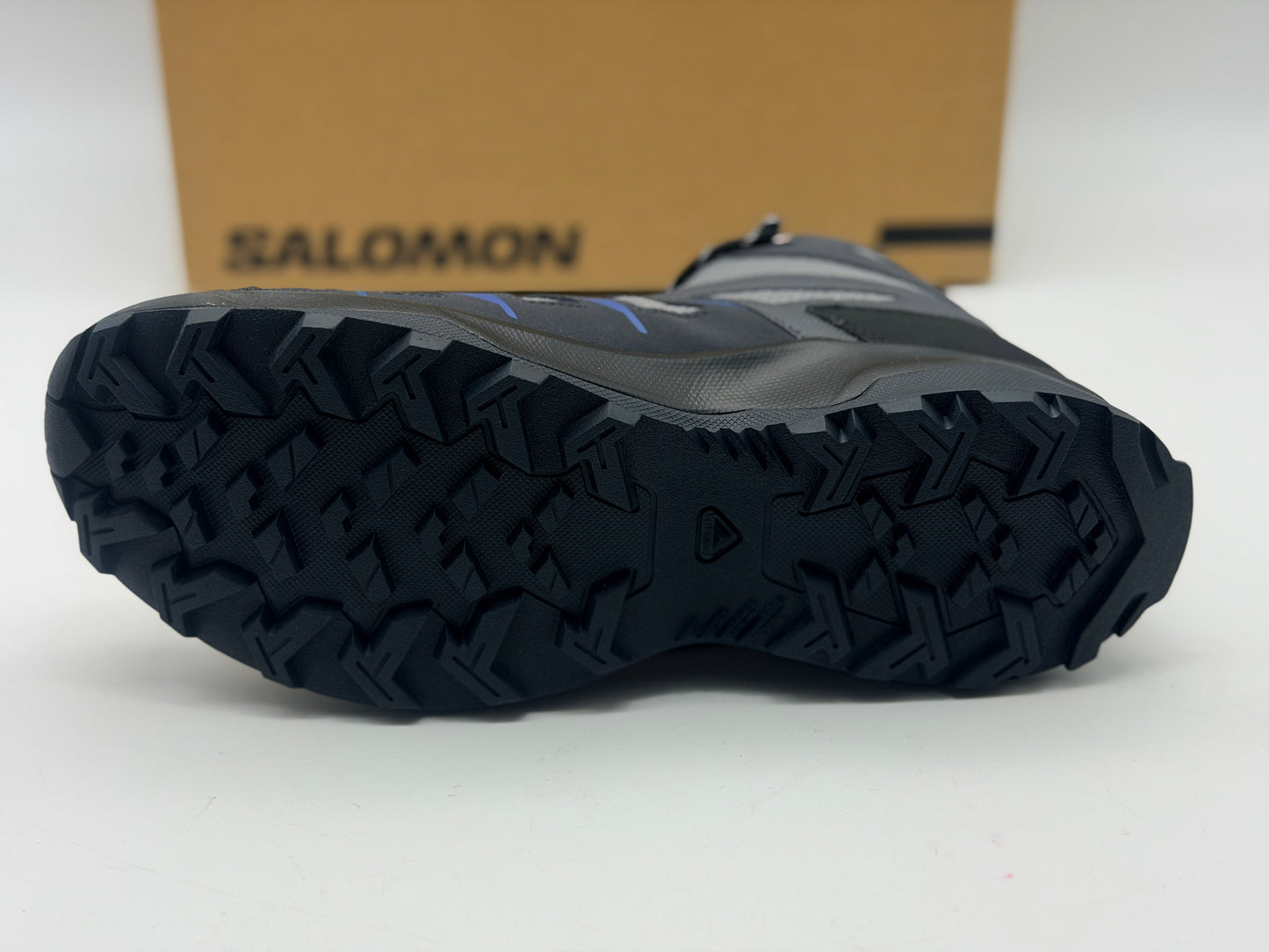 Chaussures de trail Salomon DAINTREE MID GTX