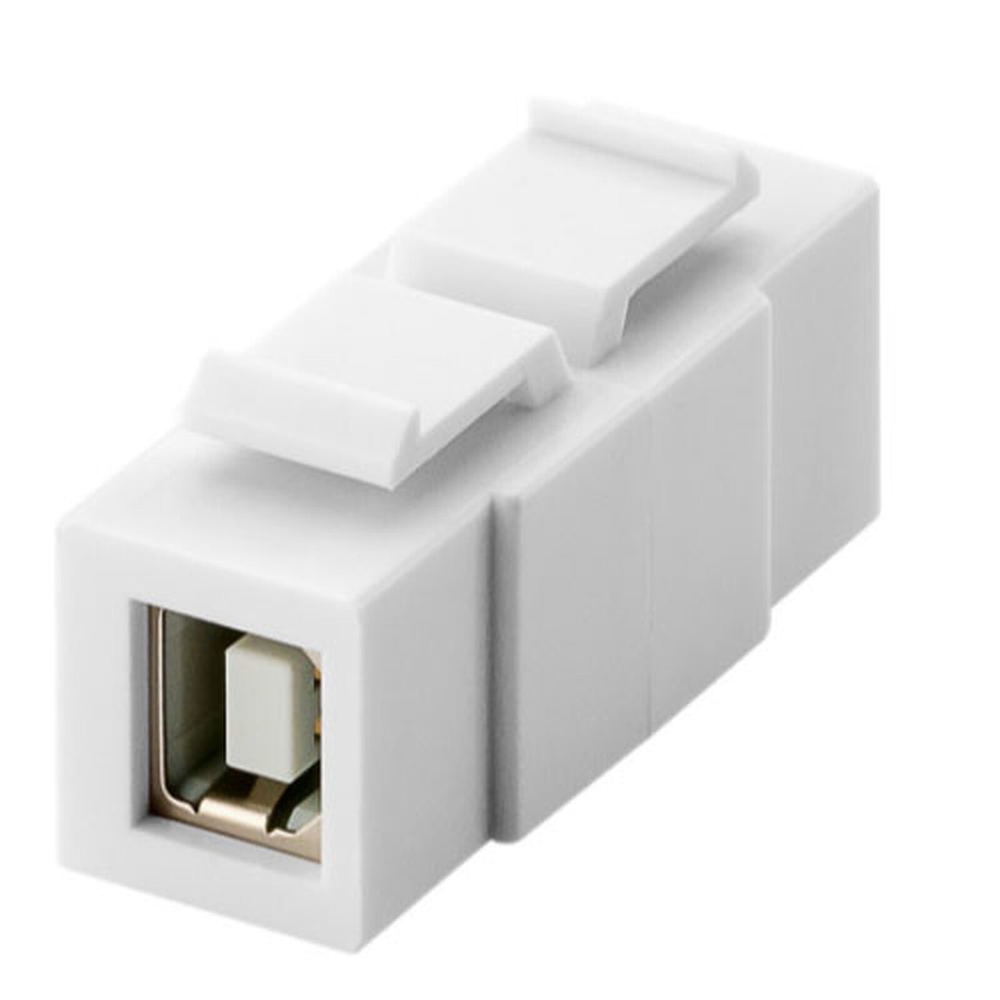 Goobay adaptateur USB 2.0 type B / type B pour boitier réseau type Keystone
ADAPTATEUR USB 2.0 TYPE B FEMELLE / TYPE B FEMELLE POUR BOITIER TYPE KEYSTONE