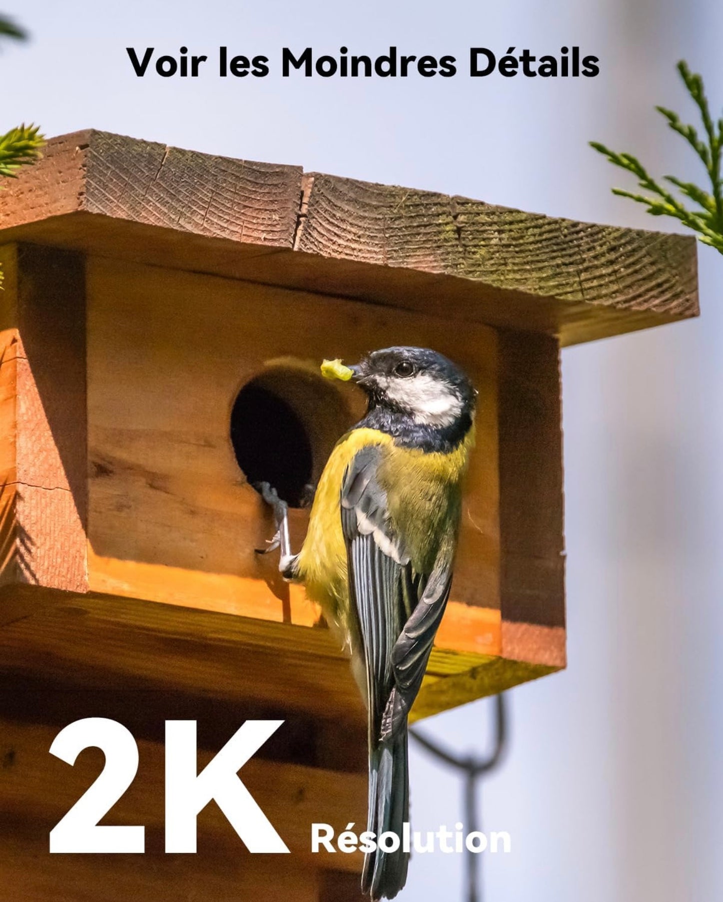 Imou 2K Caméra Surveillance WiFi Extérieur sans Fil Batterie, Caméra de Surveillance Extérieur, PIR & AI Détection Humaine, Vision Nocturne Couleur, Audio Bidirectionnel,Mode Privé,Sirène,Étanche IP66
