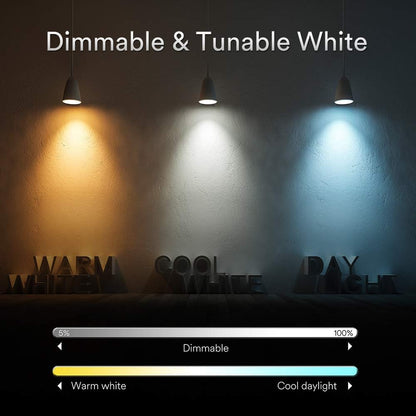 Ampoule Connectee E27,iLintek Ampoule LED Intelligente 13W (100 W équivalentes),G95 Bluetooth Lumiere de Controle,Couleur RGB+ Blanc Dimmable(2700K-6000K),Compatible avec Alexa,Google Home,IFTTT,2PCS